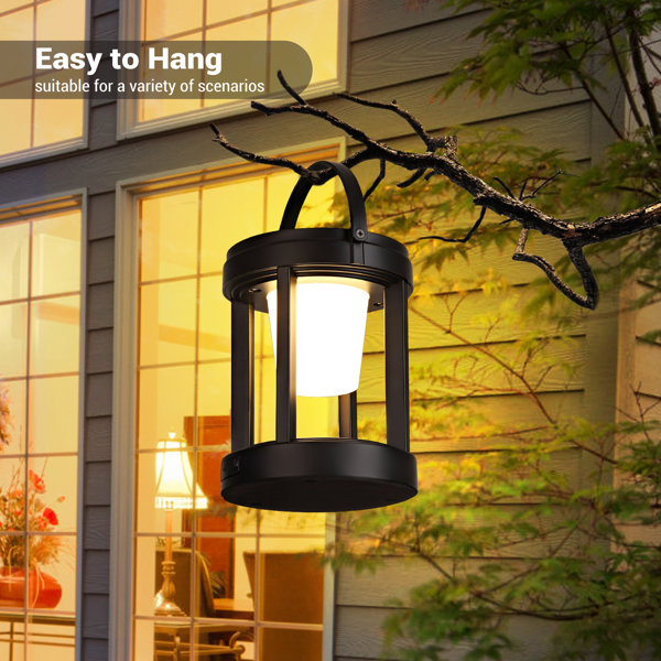 RIDALUX 7.08'' Battery Powered Integrated LED Color Changing Outdoor Lantern & Reviews Wayfair